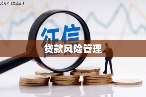 宣汉贷款风险管理