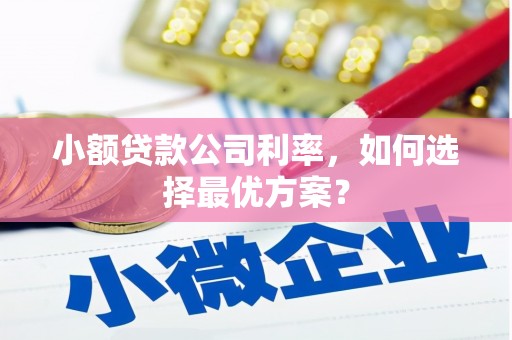 宣汉小额贷款公司利率，如何选择最优方案？