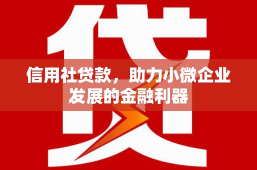 宣汉信用社贷款，助力小微企业发展的金融利器