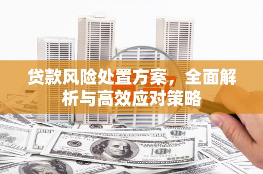 宣汉贷款风险处置方案，全面解析与高效应对策略