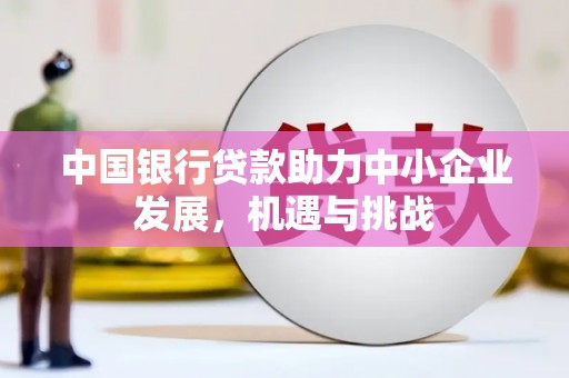 宣汉中国银行贷款助力中小企业发展，机遇与挑战