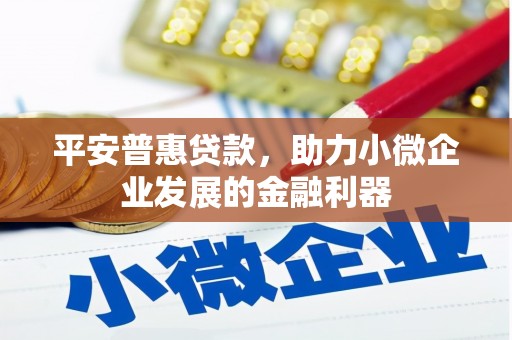 宣汉平安普惠贷款，助力小微企业发展的金融利器