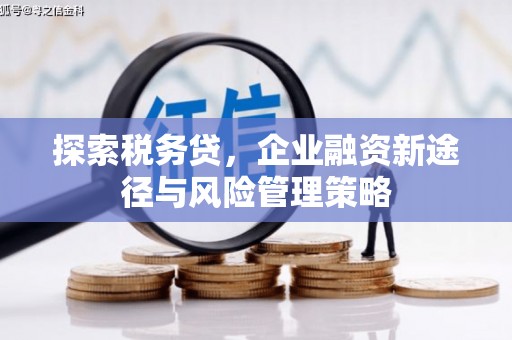宣汉探索税务贷，企业融资新途径与风险管理策略