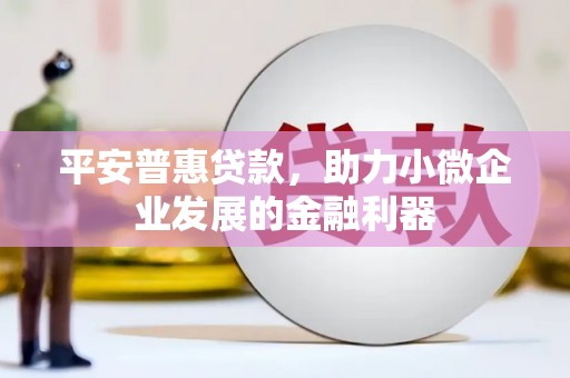 宣汉平安普惠贷款，助力小微企业发展的金融利器