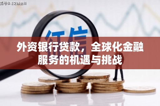 宣汉外资银行贷款，全球化金融服务的机遇与挑战