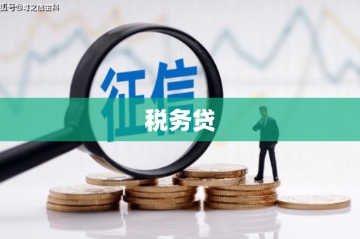 宣汉税务贷
