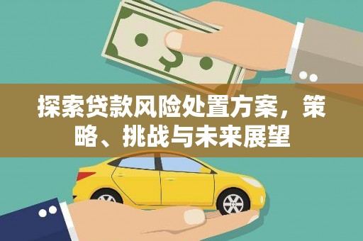 宣汉探索贷款风险处置方案，策略、挑战与未来展望