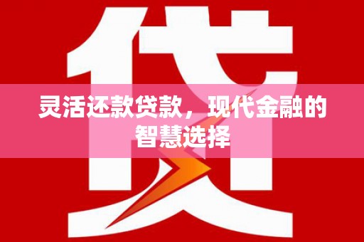 宣汉灵活还款贷款，现代金融的智慧选择