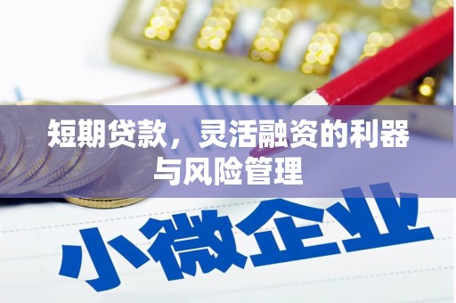 宣汉短期贷款，灵活融资的利器与风险管理