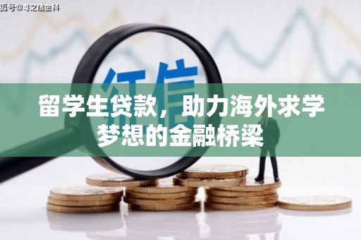宣汉留学生贷款，助力海外求学梦想的金融桥梁