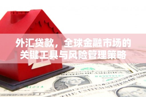 宣汉外汇贷款，全球金融市场的关键工具与风险管理策略