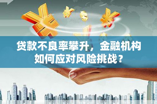 宣汉贷款不良率攀升，金融机构如何应对风险挑战？