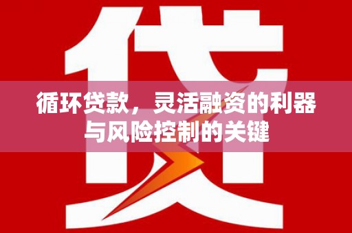 宣汉循环贷款，灵活融资的利器与风险控制的关键