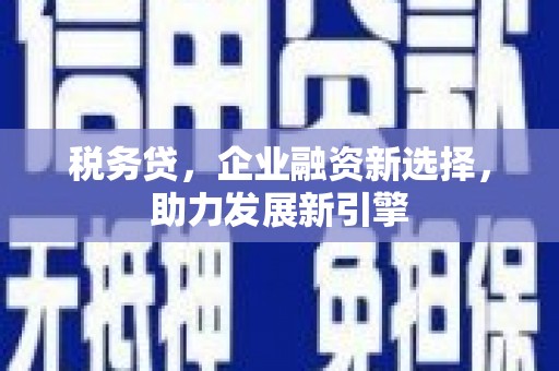 宣汉税务贷，企业融资新选择，助力发展新引擎