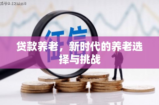 宣汉贷款养老，新时代的养老选择与挑战