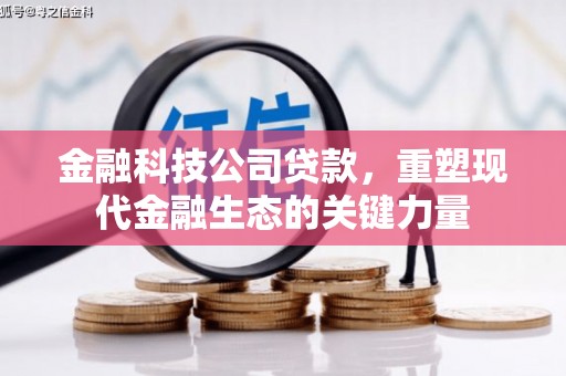 宣汉金融科技公司贷款，重塑现代金融生态的关键力量