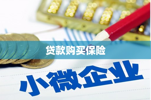 宣汉贷款购买保险