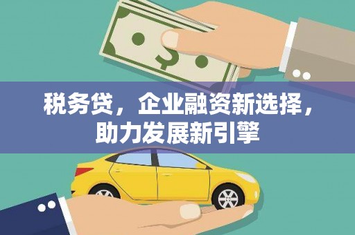 宣汉税务贷，企业融资新选择，助力发展新引擎