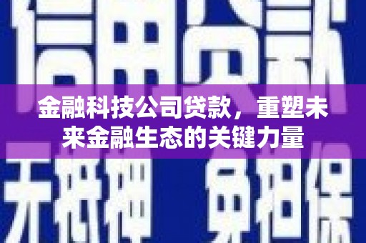 宣汉金融科技公司贷款，重塑未来金融生态的关键力量