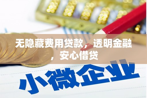 宣汉无隐藏费用贷款，透明金融，安心借贷