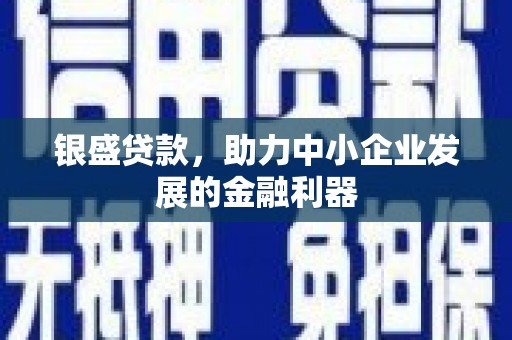 宣汉银盛贷款，助力中小企业发展的金融利器