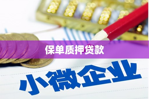 宣汉保单质押贷款