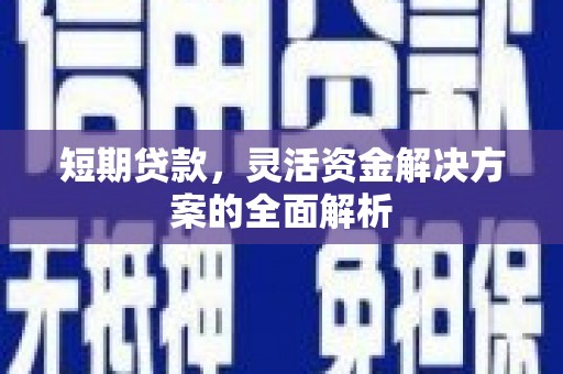 宣汉短期贷款，灵活资金解决方案的全面解析