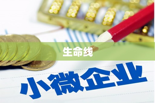 宣汉生命线