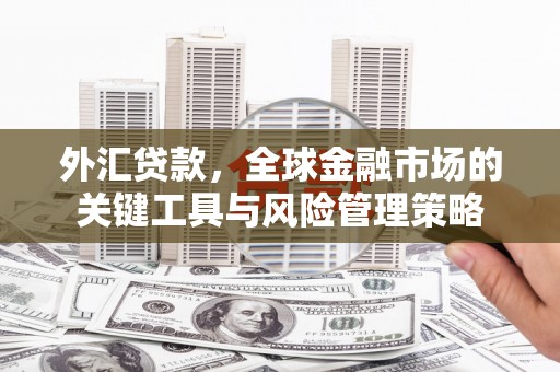 宣汉外汇贷款，全球金融市场的关键工具与风险管理策略