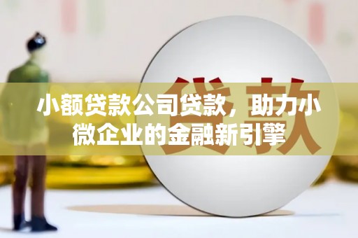 宣汉小额贷款公司贷款，助力小微企业的金融新引擎