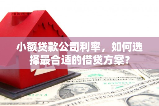 宣汉小额贷款公司利率，如何选择最合适的借贷方案？