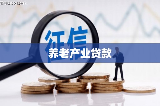 宣汉养老产业贷款