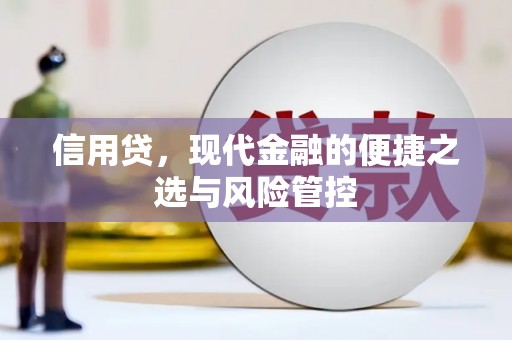 宣汉信用贷，现代金融的便捷之选与风险管控