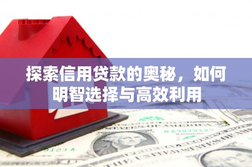 宣汉探索信用贷款的奥秘，如何明智选择与高效利用