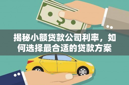 宣汉揭秘小额贷款公司利率，如何选择最合适的贷款方案