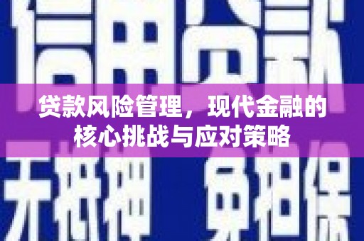 宣汉贷款风险管理，现代金融的核心挑战与应对策略