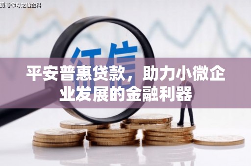 宣汉平安普惠贷款，助力小微企业发展的金融利器