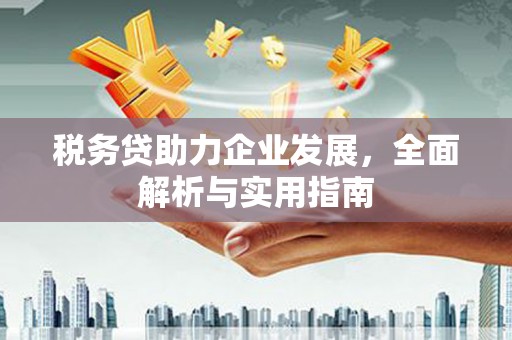 宣汉税务贷助力企业发展，全面解析与实用指南