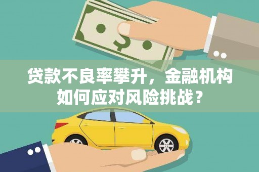 宣汉贷款不良率攀升，金融机构如何应对风险挑战？