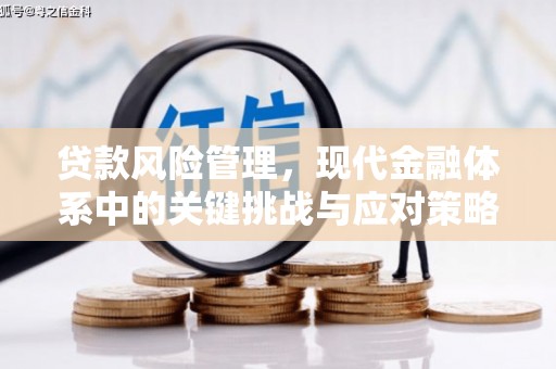 宣汉贷款风险管理，现代金融体系中的关键挑战与应对策略