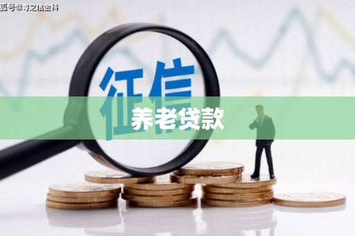 宣汉养老贷款