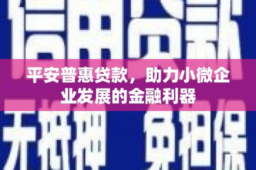 宣汉平安普惠贷款，助力小微企业发展的金融利器