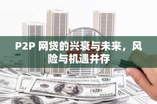 宣汉P2P 网贷的兴衰与未来，风险与机遇并存