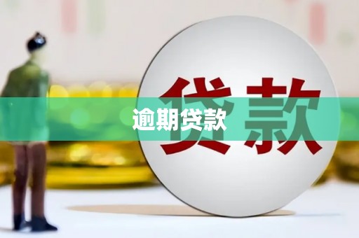 宣汉逾期贷款