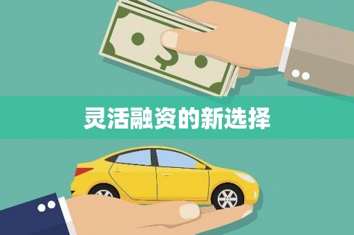 宣汉灵活融资的新选择