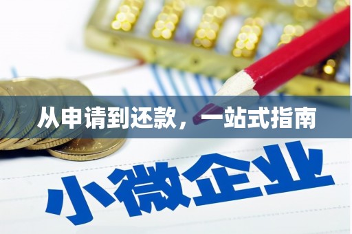 宣汉从申请到还款，一站式指南