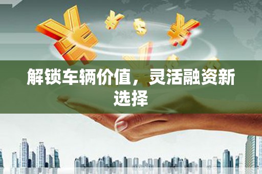 宣汉解锁车辆价值，灵活融资新选择