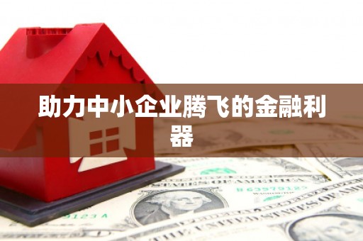 宣汉助力中小企业腾飞的金融利器
