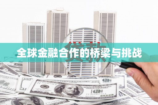 宣汉全球金融合作的桥梁与挑战