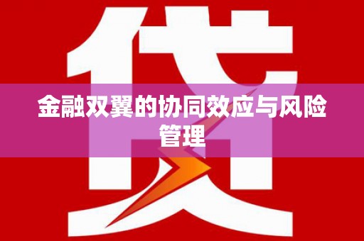 宣汉金融双翼的协同效应与风险管理